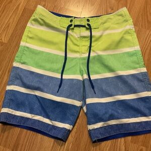 Men's Hollister M. Striped Lime & Blue Swim Trunks &Board Shorts 33X9